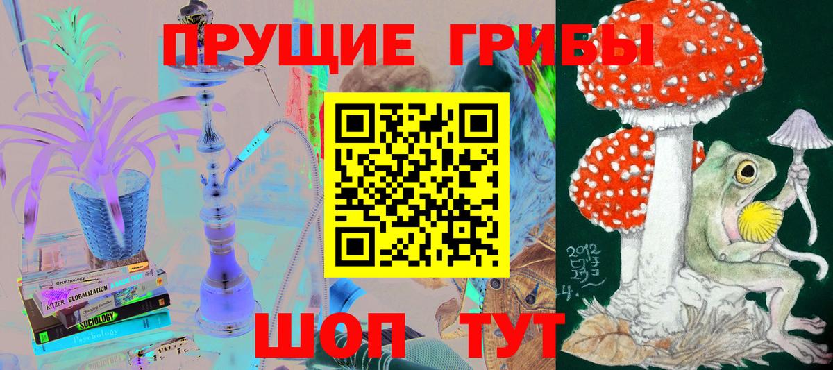 Кинешма  магазин    Вход с VPN  Псилоцибиновые грибы GOLDEN TEACHER 